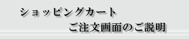 VbsOJ[gʂ̂
