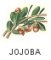 ホホバ油：アメリカ南西部および北部の乾燥地帯に自生し、その種子から抽出した油は皮膚呼吸を妨げず、お肌を柔軟にする作用があります。