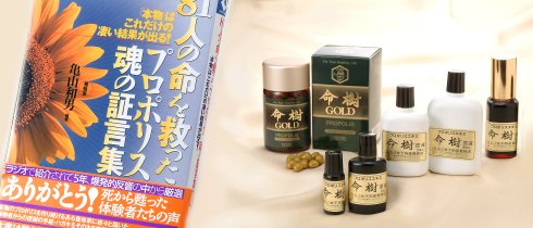 �V�牮�������Z�x�v���|���X�G�L�X�������t