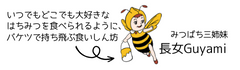 いきなりみつばち三姉妹紹介その１長女Guyami　いつでもどこでも大好きなはちみつを食べられるように、バケツで持ち飛ぶ食いしん坊だったりする。