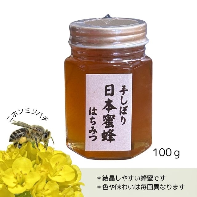 日本蜜蜂蜂蜜100ｇ