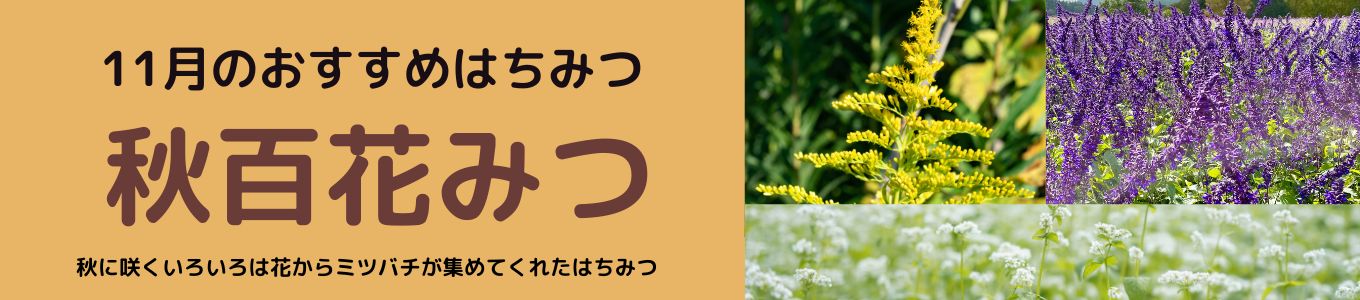 11月のおすすめはちみつ