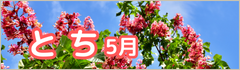 5月のおすすめはちみつ