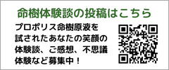 プロポリス体験談投稿こちらから